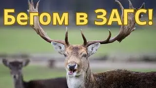 Что будет если ТЫ ЖЕНИШЬСЯ? 