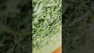 #music