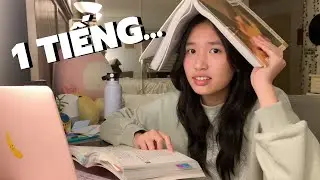 1 TIẾNG ÔN THI (nhạc lofi)