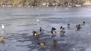 Landscape Painted on Frozen Porcelain