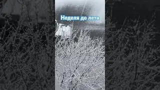 Снег идёт