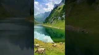 На миг🙃