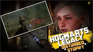 HOGWARTS LEGACY - Disturbed 