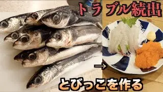 Tragedy!! I had an accident when I tried to make real flying fish roe from scratch.