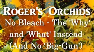 No Bleach - The 'Why' and 'What' Instead (And No 'Big-Gun')