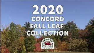 2020 Concord Fall Leaf Collection