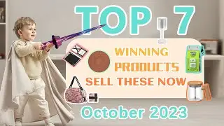 Wefulfil Top Winning Products