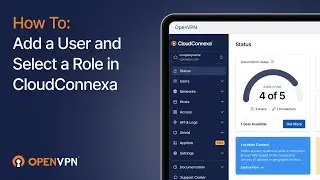 How to Add a User and Select a Role in CloudConnexa