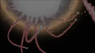 Rain World - trying to fight a void worm