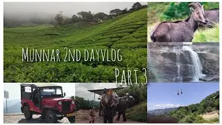 Munnar Day 2 Vlog Part 3#travelvlog #munnar#bison #nilgiritahr#priyasizzle #waterfall#hangingbridge