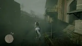 This Is Why I Hate Horse Riding In Saint Denis - Red Dead Redemption 2