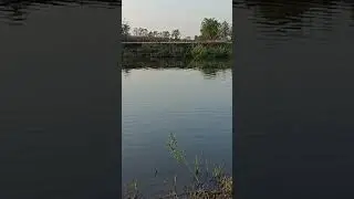 Вечер. Ждемссс Сома