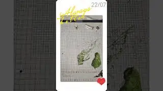 №119 С нуля до 70%... #влог #vlog #embroidery #понедельник #Ночка #вышивка #наташа #яблоки