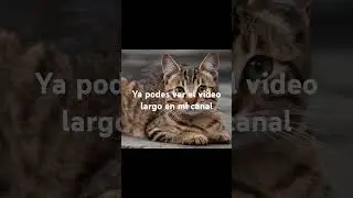 6 de agosto de 2024