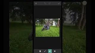 Lime Green Photo Editing In PicsArt #shorts #viral