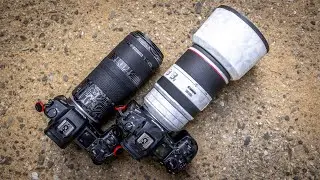 Canon RF 70-200mm f/2.8 or RF 100 400mm f/5.6-8 when traveling? - My Thoughts/Pick