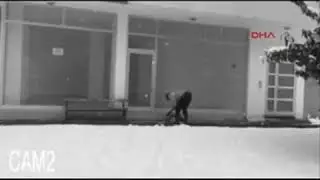 Приколы. Человек и собака.