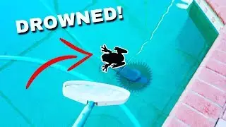 SAVING My Pet FIDO  from DROWNING!