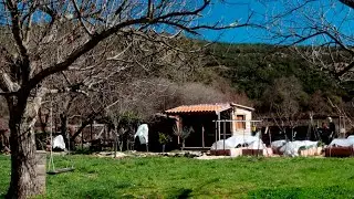 #10. House in the mountains. Preparing the spring vegetable garden