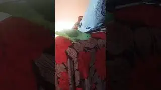 #totuvlog