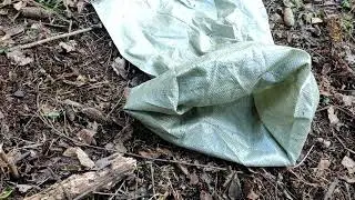 Деплет по лисе, первый енот в сезоне 22. И как поймать лису живой.