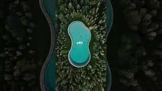 Otti Forest