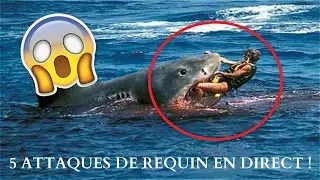 5 ATTAQUES DE REQUIN EN DIRECT LES PLUS CHOQUANTES !