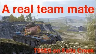 WOT Blitz - A real team mate - T95E6