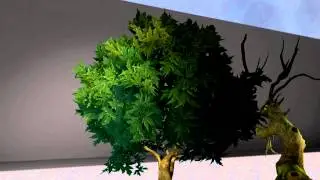 SFM trees