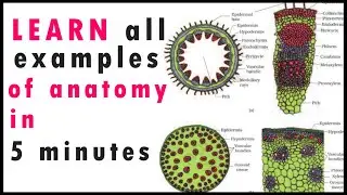 Biology Bytes SHORT TRICKS-Plant Anatomy NEET 2020|JIPMER|AIIMS