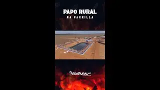 Matéria Prima colocado na CRB #agro #agricultura #tudooquevoceprecisasaber #farming