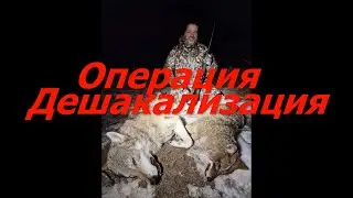 Операция Дешакализация. Охота на волка и шакала в Астрахани.