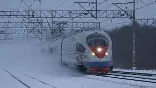 Сапсаны зимой
