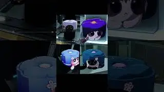 All cat in Honkai Star Rail 1.6