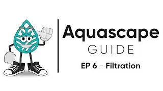 Aquascape Guide - Filtration explained and how to set up a canister filter / EP 6 - Filtration