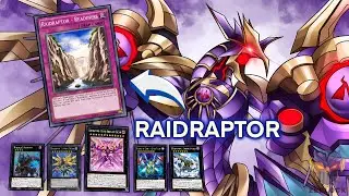 My UPDATED Raidraptor Deck [Yugioh Master Duel]
