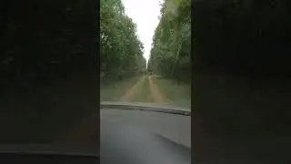 29 декабря 2021 г.