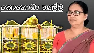 කොහොඹා හෑල්ල | kohomba halla