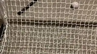 Satisfying Mini Stick Shots Ep.1