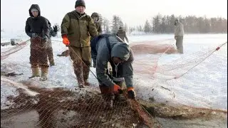 #23 Необычные случаи на рыбалке!