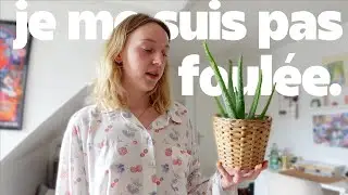 ce vlog c'est n'importe quoi