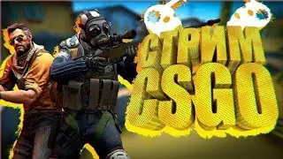 СОБРАЛ ПК l  СТРИМ ПО CS GO