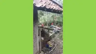Berburu babi hutan (BANJARNEGARA)