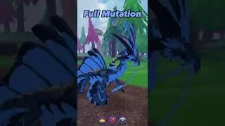 🐲🐟 New Taraka Remodel! #dragonadventures #roblox #taraka