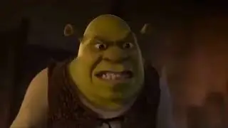 Donkey, You're Wonky!