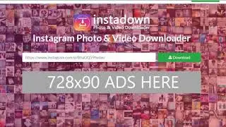 InstaDown   Instagram Photo & Video Downloader