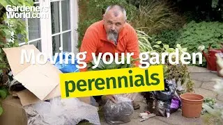 Moving Your Garden - 8 - Moving perennials