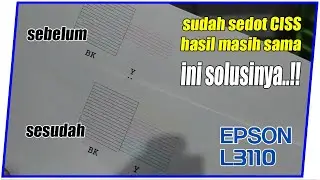 Epson L3110 printer does not print in color