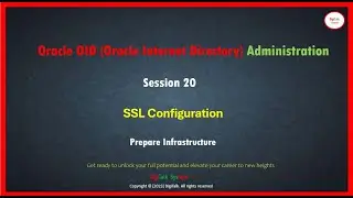 Oracle OID (Oracle Internet Directory) SSL Configuration: Step by Step action plan with commands