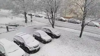 Перший сніг в Познані ❄️.Польща#Познань#